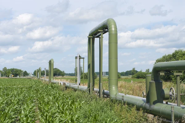 Pipelines através de um campo — Fotografia de Stock
