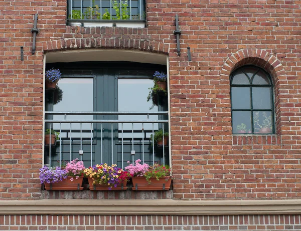 Janela com caixas de flores — Fotografia de Stock