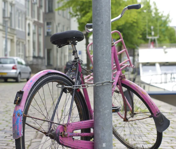 Pink bicycle — Stock Photo, Image