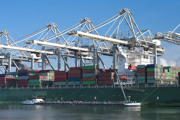 Container schip in de haven van — Stockfoto