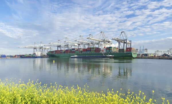 Container ship in harbor