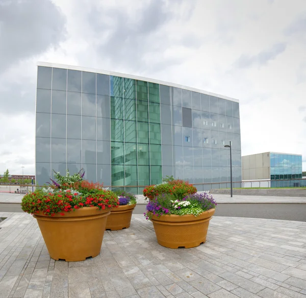 Large planters — Stock Photo, Image