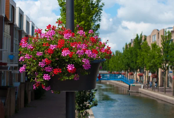 Jardinera con flores — Foto de Stock