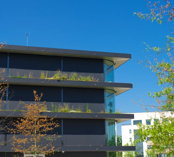 Bâtiment écologique de bureaux — Photo