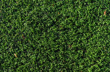 Artificial grass field clipart