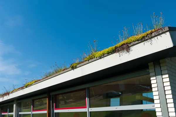 Roof with plants — Stock Photo, Image