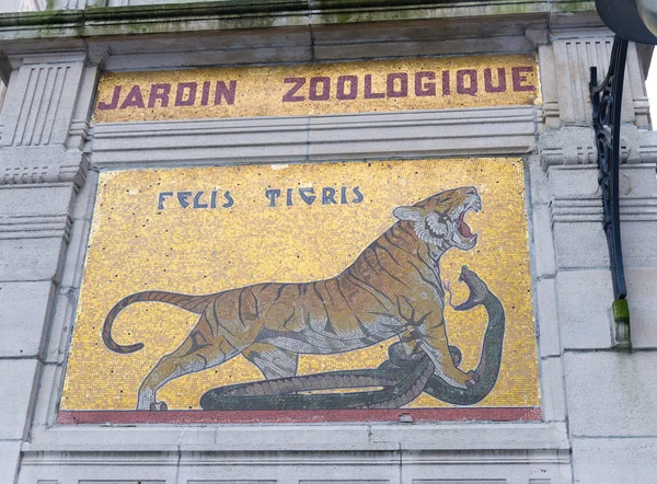 Zoológico antwerp — Foto de Stock