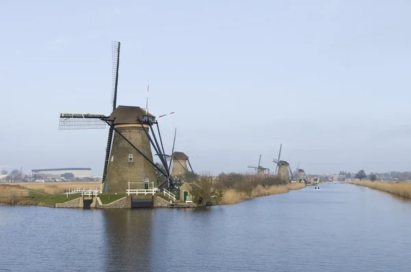Hollanda yel değirmenleri — Stok fotoğraf