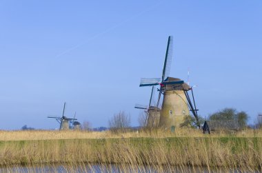 Hollanda yel değirmenleri