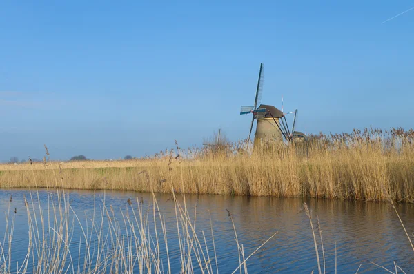 Hollanda yel değirmenleri — Stok fotoğraf