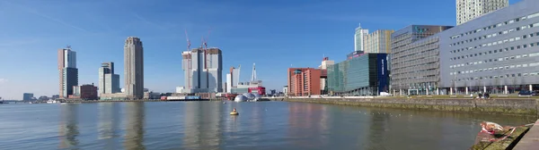 Rotterdam manzarası — Stok fotoğraf