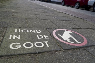 köpek kirlenme bir iz yok