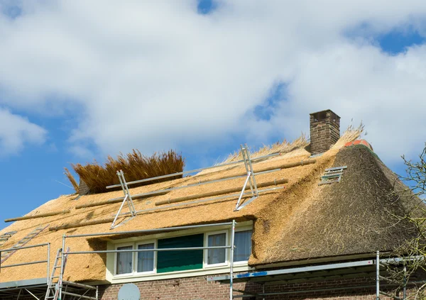 Thatched roof — Stock Photo, Image