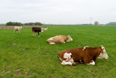 Close-up van Amerikaanse vlag