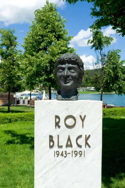 Busto de Roy negro — Foto de Stock