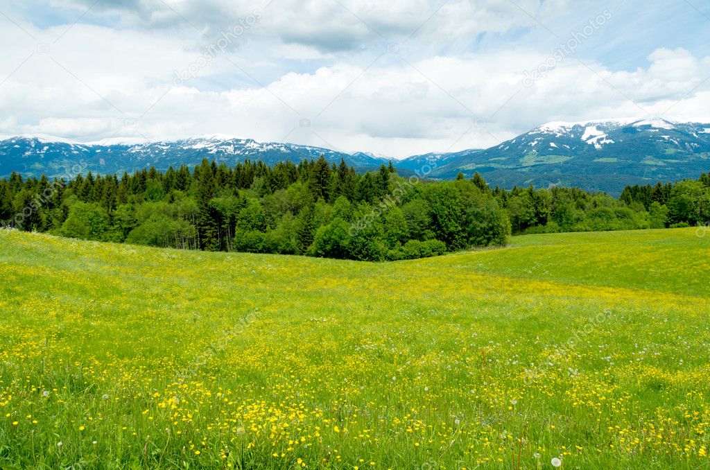 austrian landscape