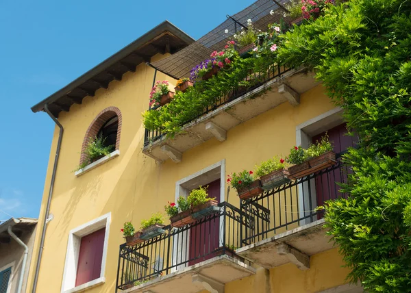 Balcone con fiori — Foto Stock