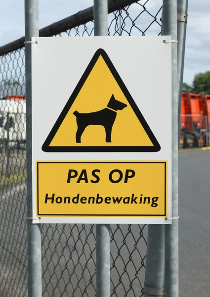 Akta dig för hunden — Stockfoto