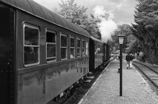 Train à vapeur vintage — Photo