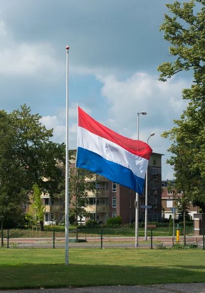 Nederlandse vlag — Stockfoto