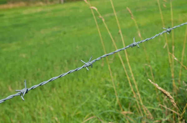 Ostnatý drát — Stock fotografie