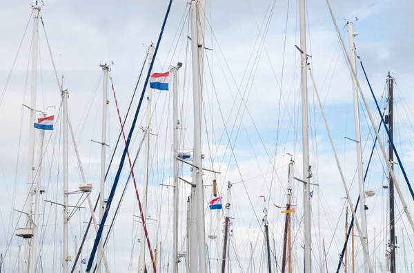 Masts of sailboats — Stock Photo, Image
