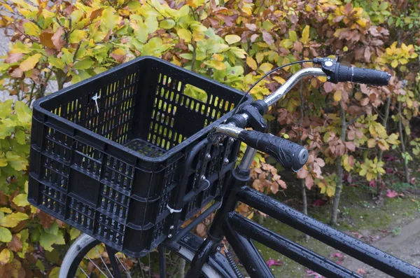Cykel med korg — Stockfoto
