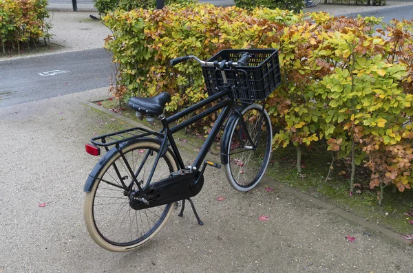 Svart cykel — Stockfoto