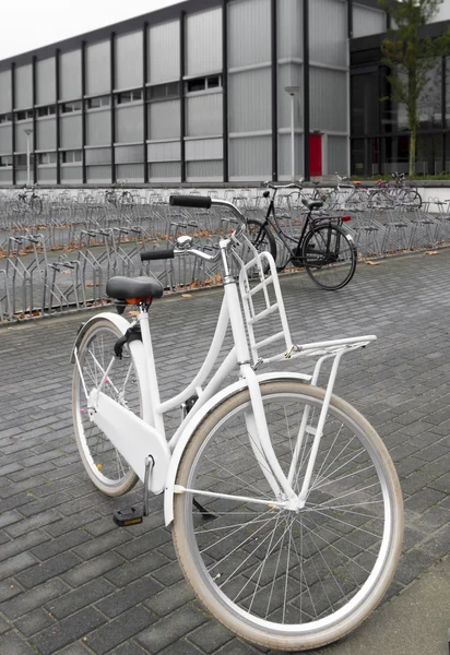 Bicicleta branca — Fotografia de Stock