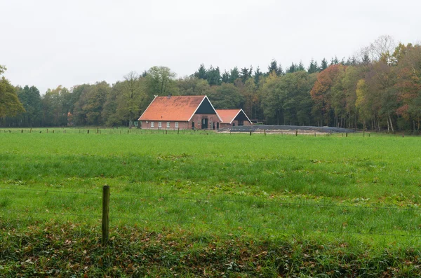 Granja holandesa — Foto de Stock