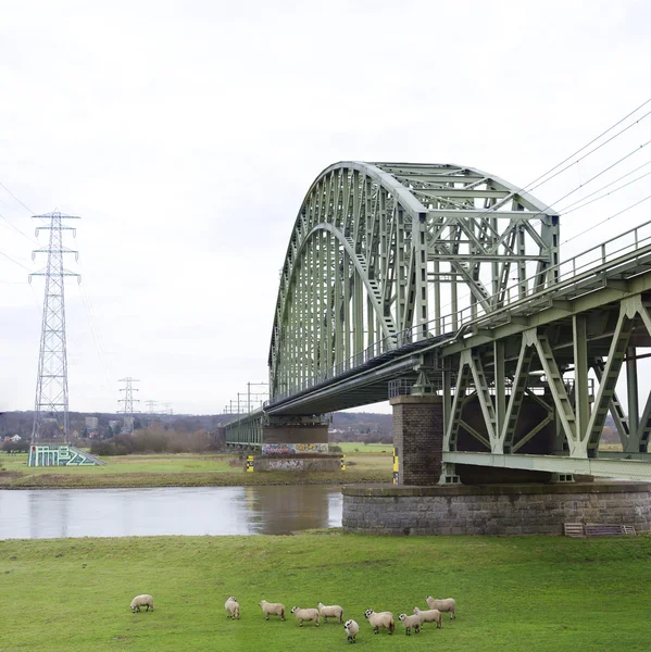 Ponte ferroviario — Foto Stock