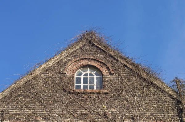 House facade — Stock Photo, Image