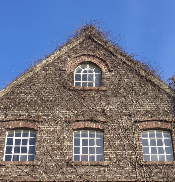 House facade — Stock Photo, Image