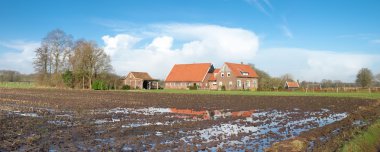 Hollanda çiftlik evi