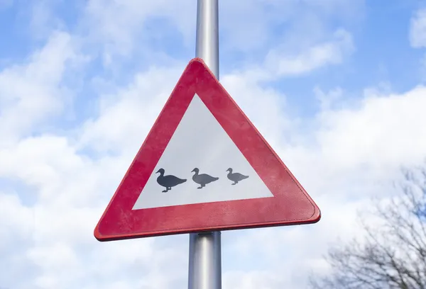 Crossing ducks sign — Stock Photo, Image