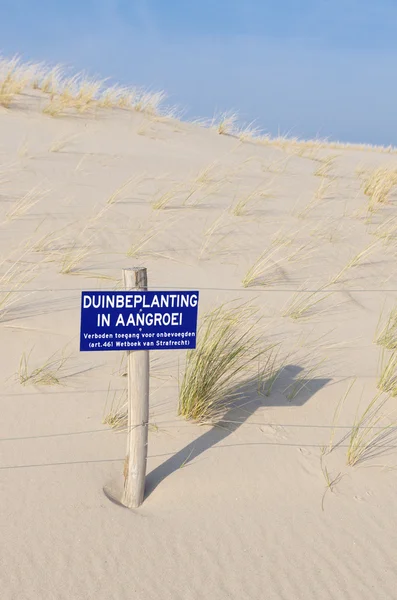 Erba di dune — Foto Stock