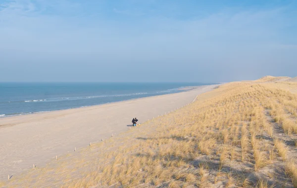 Dunas do mar do Norte — Fotografia de Stock