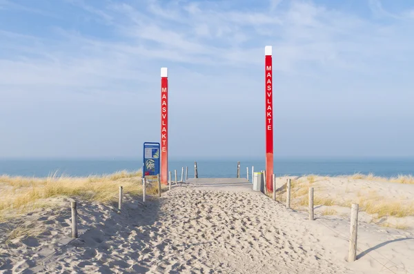 Duna de areia — Fotografia de Stock