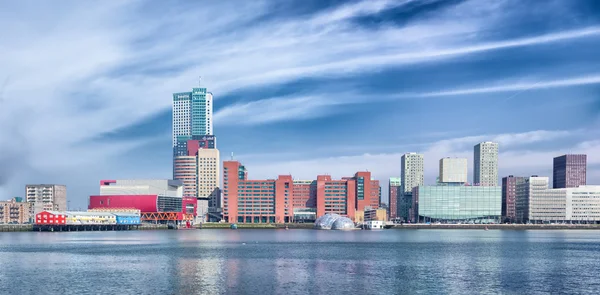 Horizonte de rotterdam — Fotografia de Stock