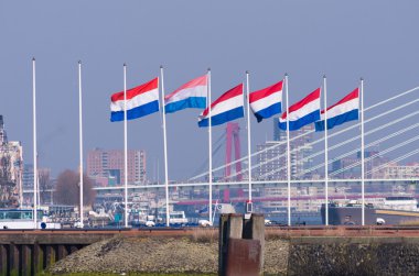 Hollanda bayrağı