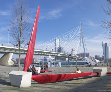 Erasmus bridge Rotterdam