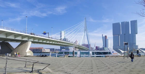 桥接鹿特丹伊拉斯莫斯 — 图库照片