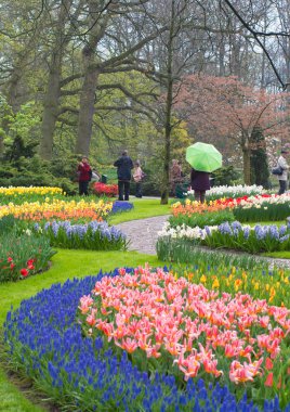 Keukenhof Lisse, Hollanda