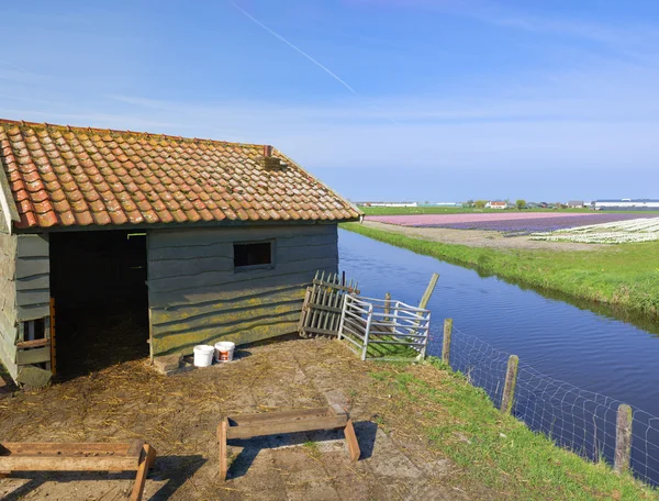 Animal shed — Stock Photo, Image