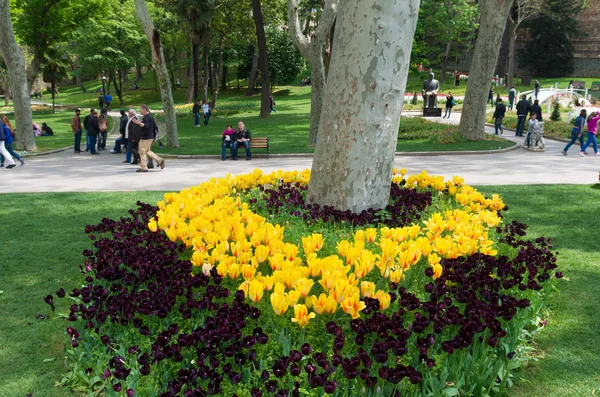 Parco a Istanbul — Foto Stock