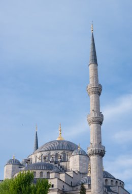 İstanbul 'daki Mavi Cami