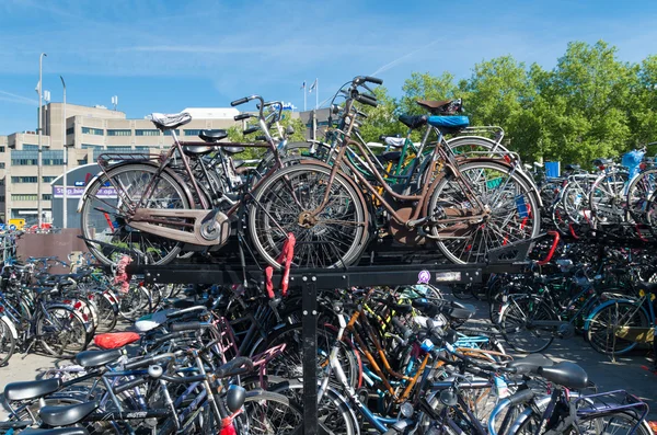 Bicycle parking — Stock Photo, Image