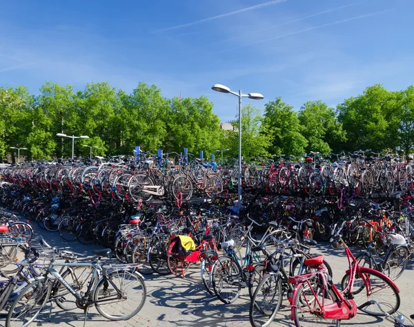 Parcheggio biciclette — Foto Stock