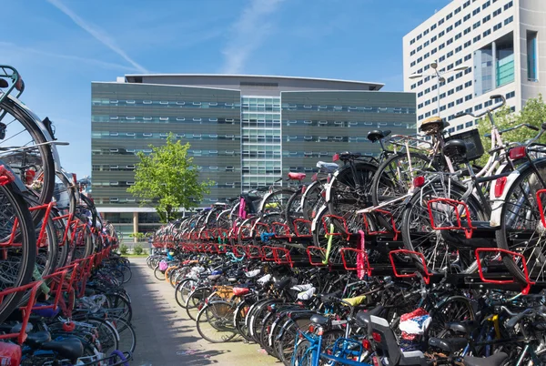 Cykelparkering — Stockfoto