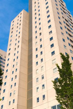 Hollanda, Rotterdam 'da birkaç büyük apartman bloğu